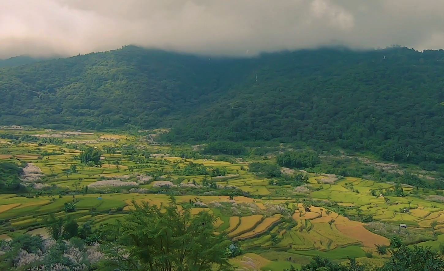Khonoma: The First Green Village